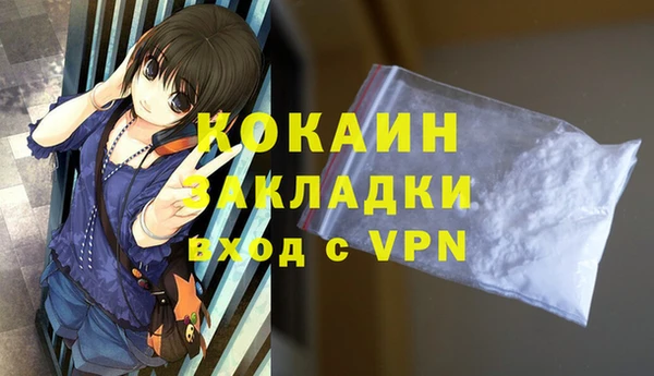 соль ск Алексин